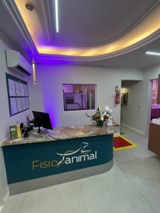 Fisioterapia Veterinária em Fortaleza